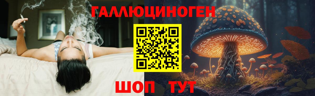 Псилоцибиновые грибы прущие грибы  Вход с VPN  Галлюциногенные грибы мухоморы  Междуреченск 